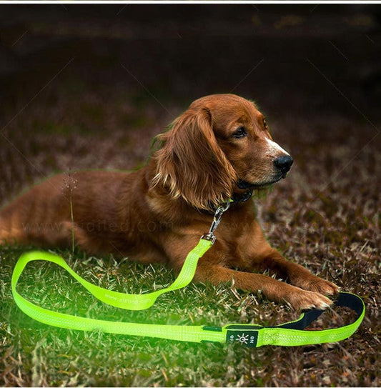 LED Rechargeable Dog Leash