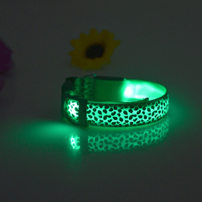 USB Rechargeable LED Flashing Nylon Dog Collar