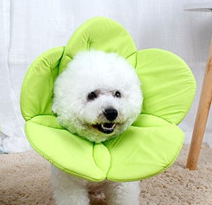 Flower Elizabethan Dog Collar