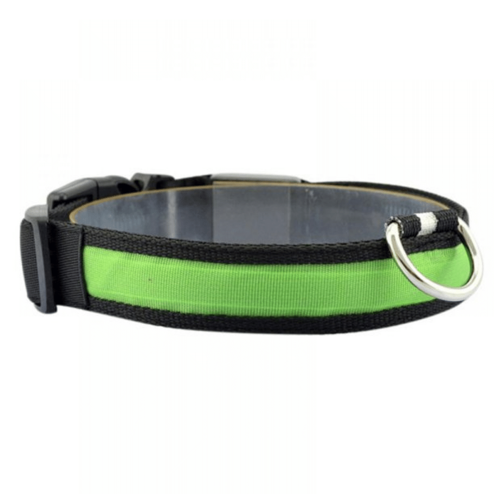 USB Rechargeable LED Flashing Nylon Dog Collar