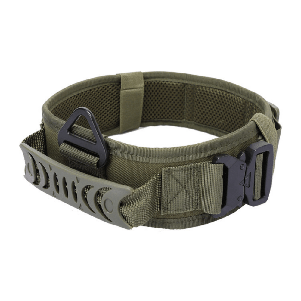 Quick Release Metal Buckle Outdoor Dog Walking Collar