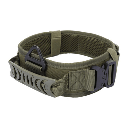 Quick Release Metal Buckle Outdoor Dog Walking Collar