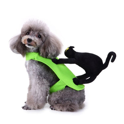 Black Cat Riding Dog Costume