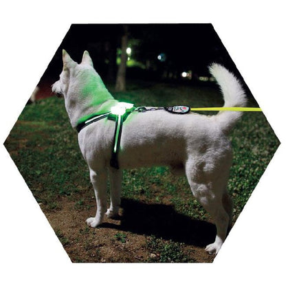 LED Rechargeable Dog Harness