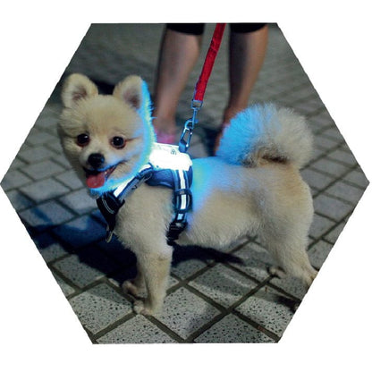 LED Rechargeable Dog Harness