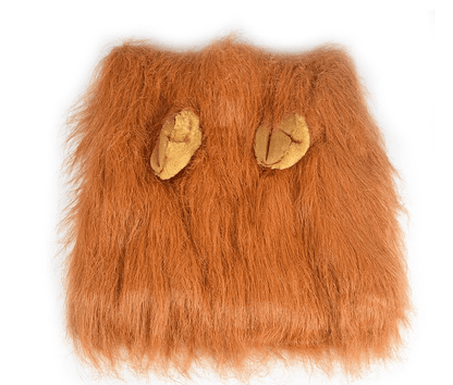 Lion's Mane Dog Costume