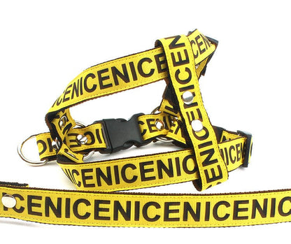 "Nice" Print Dog Harness and Leash Set