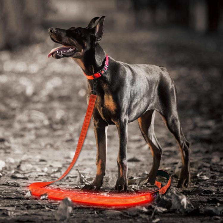 LED Rechargeable Dog Leash