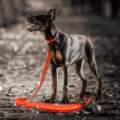 LED Rechargeable Dog Leash