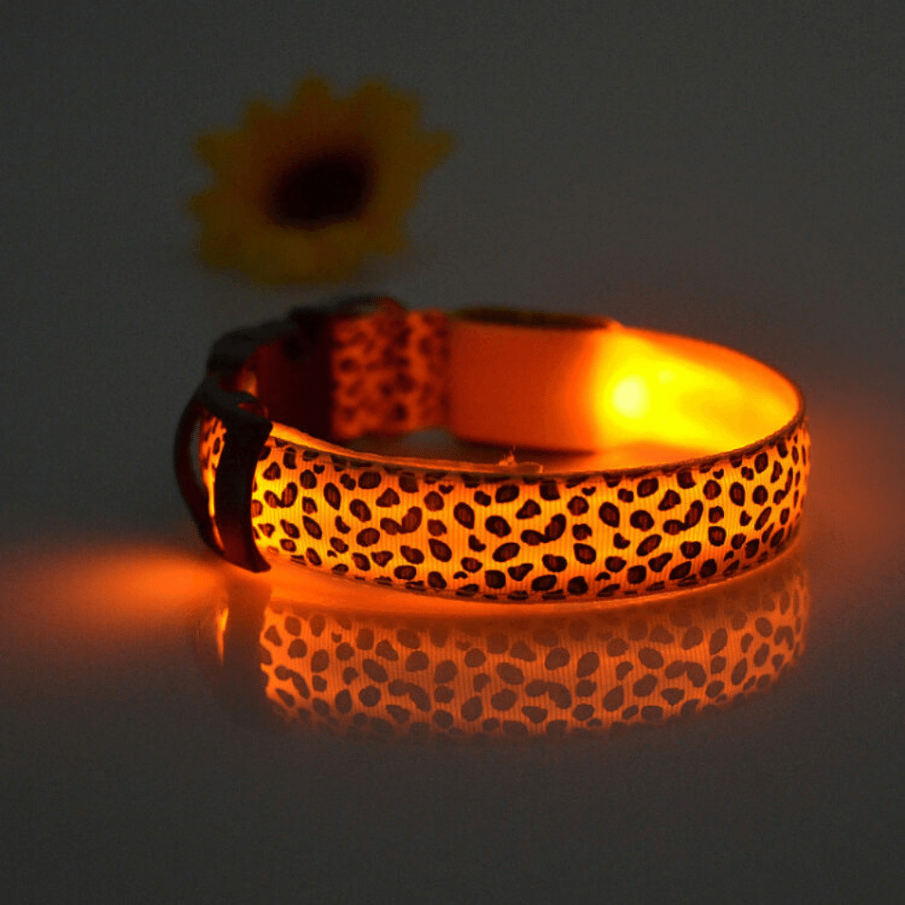 USB Rechargeable LED Flashing Nylon Dog Collar