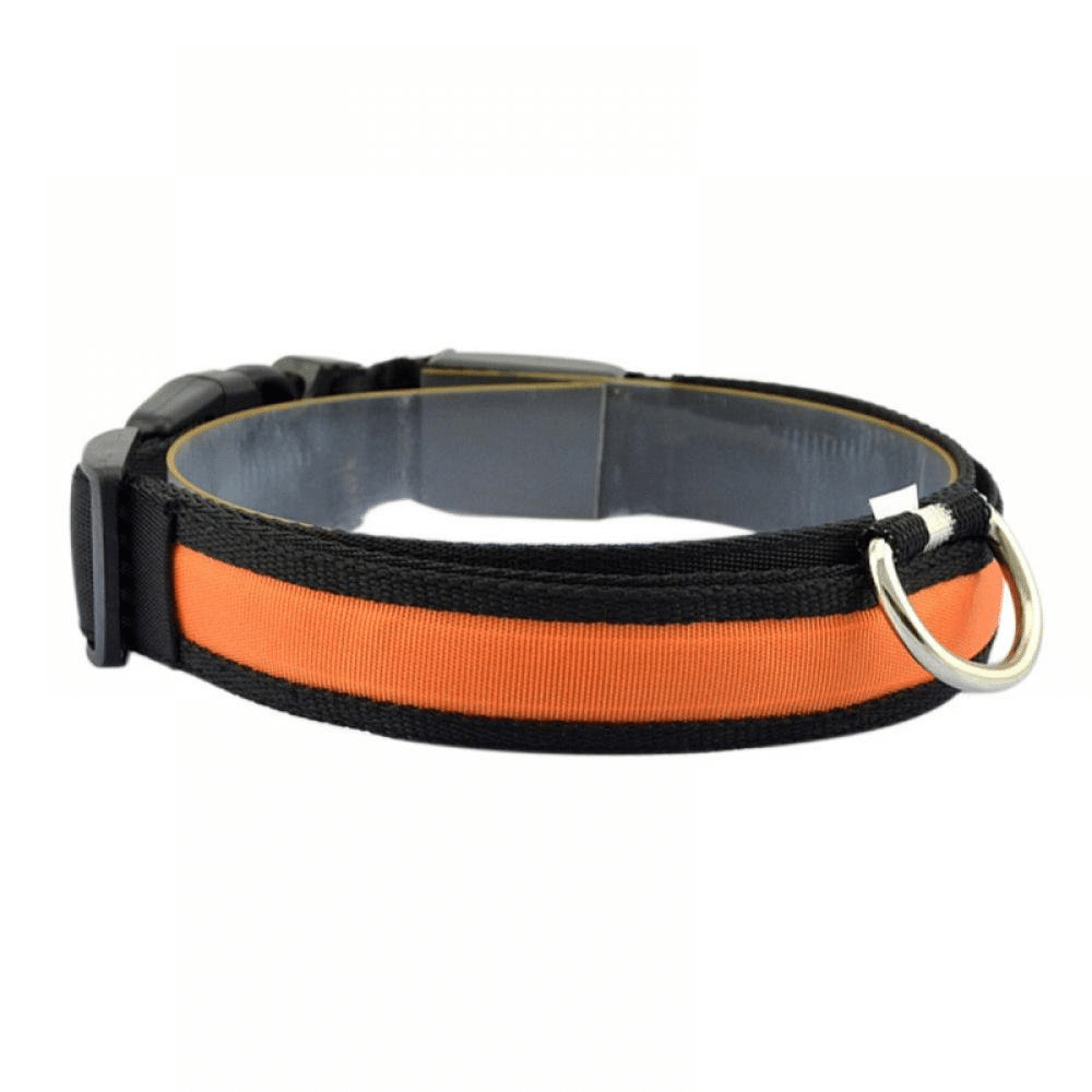 USB Rechargeable LED Flashing Nylon Dog Collar