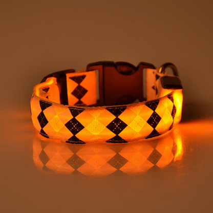 USB Rechargeable LED Flashing Nylon Dog Collar