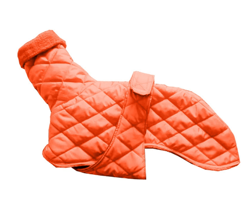 Dog winter warm cotton pure color belt fashion