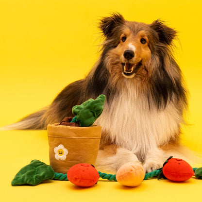 Potted Strawberry Plant Squeaky Dog Toy
