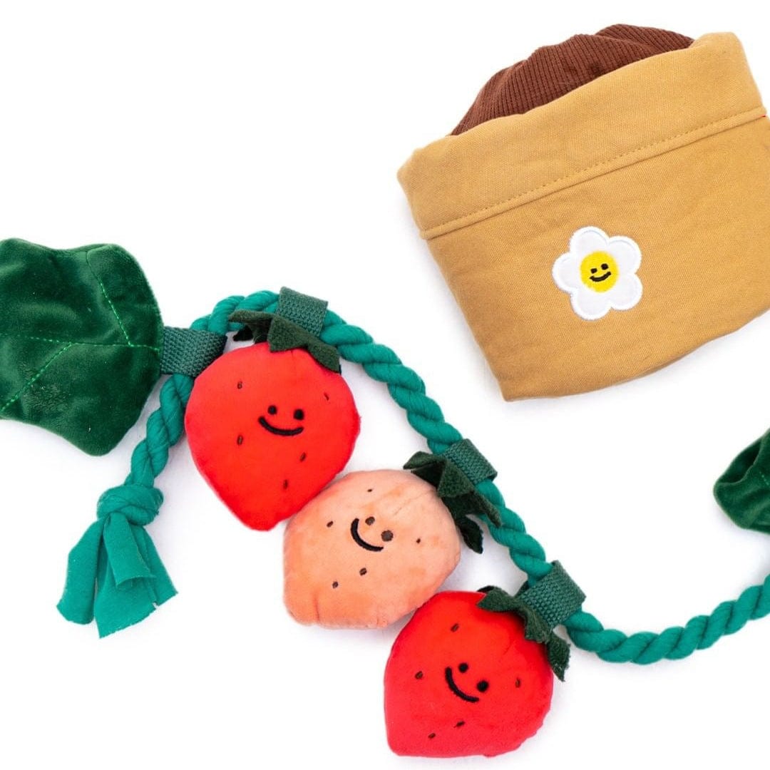 Potted Strawberry Plant Squeaky Dog Toy