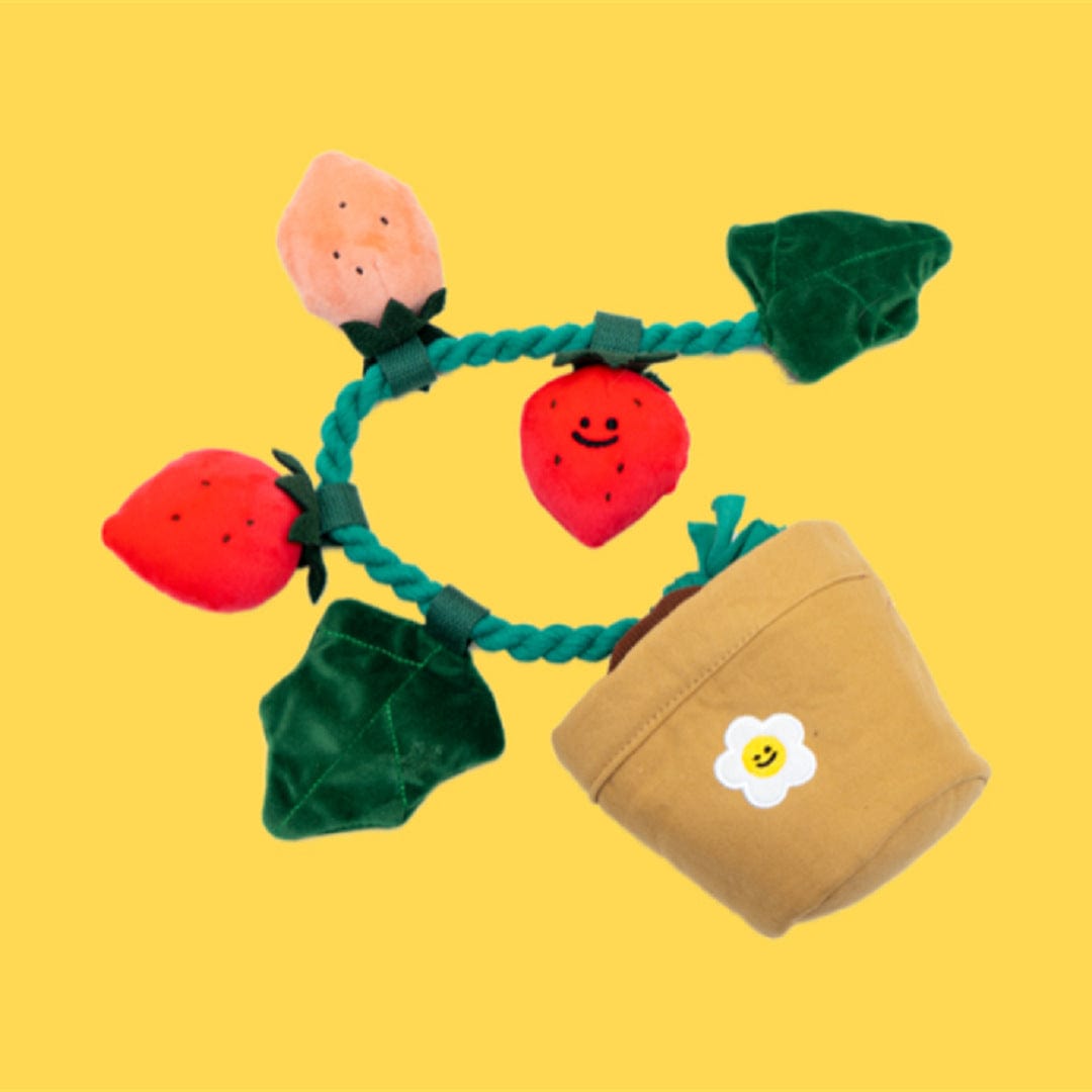 Potted Strawberry Plant Squeaky Dog Toy