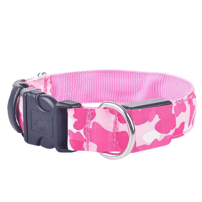 USB Rechargeable LED Flashing Nylon Dog Collar