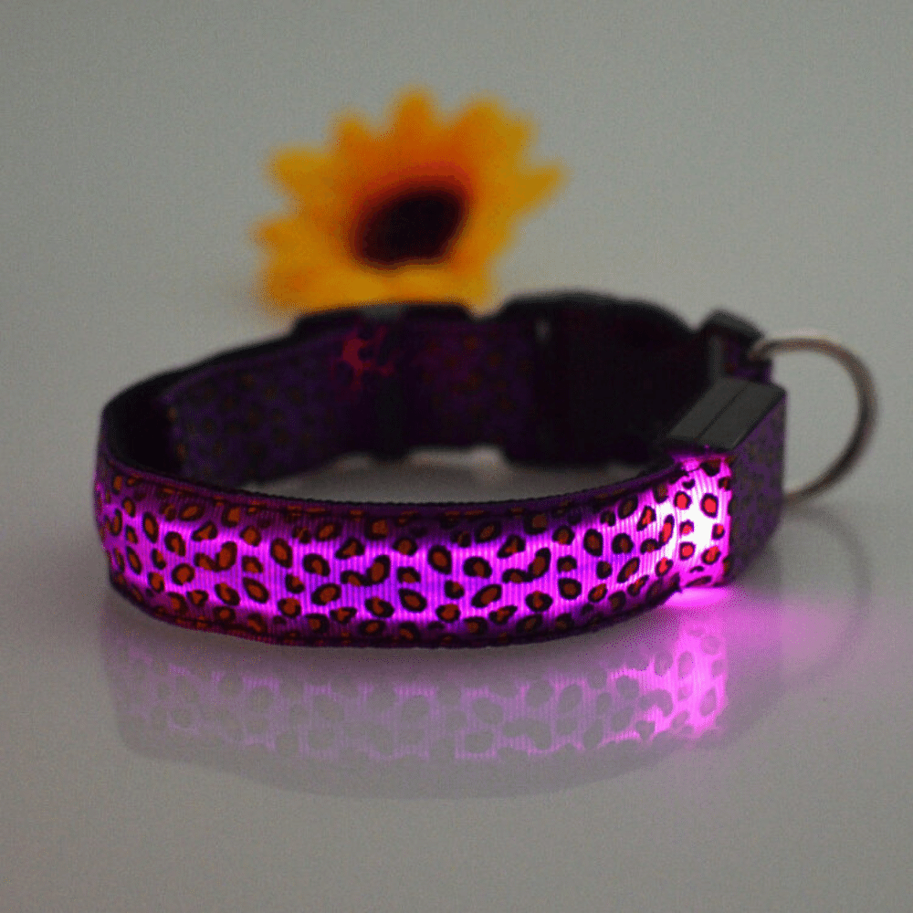 USB Rechargeable LED Flashing Nylon Dog Collar