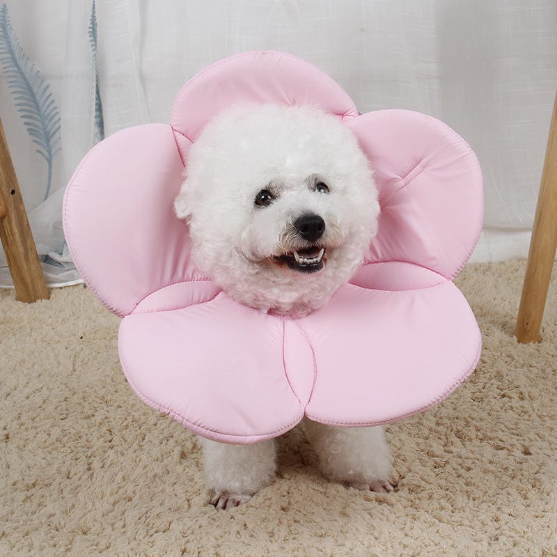 Flower Elizabethan Dog Collar