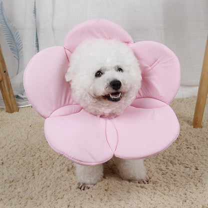 Flower Elizabethan Dog Collar