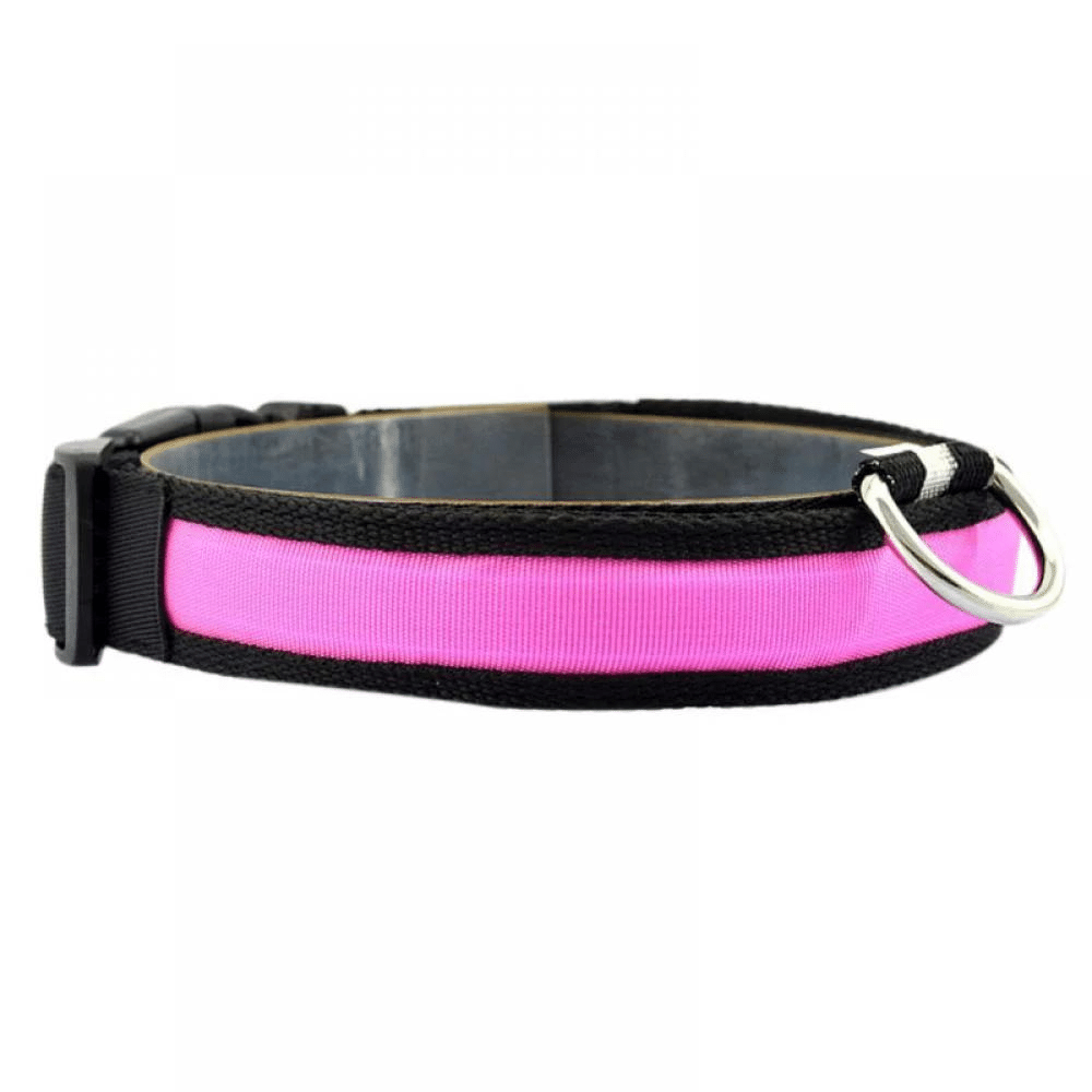 USB Rechargeable LED Flashing Nylon Dog Collar