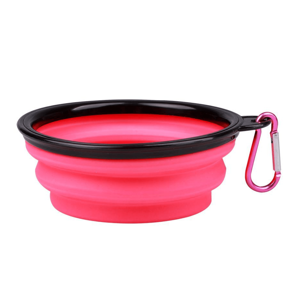 Silicone Collapsible Dog Bowl