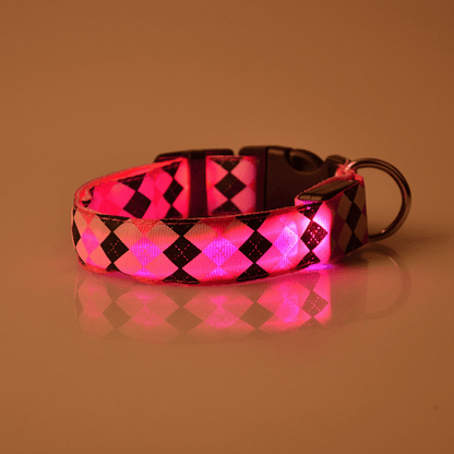 USB Rechargeable LED Flashing Nylon Dog Collar