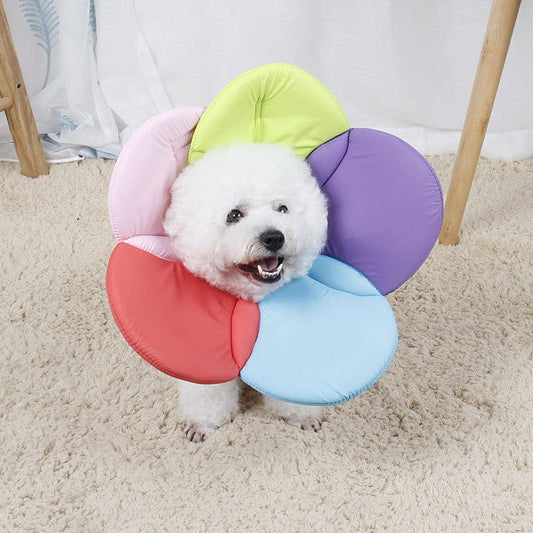 Flower Elizabethan Dog Collar