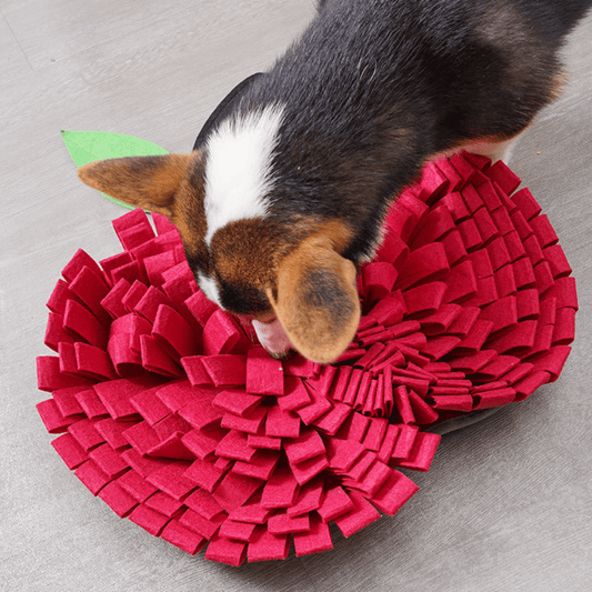 20in Apple Snuffle Mat