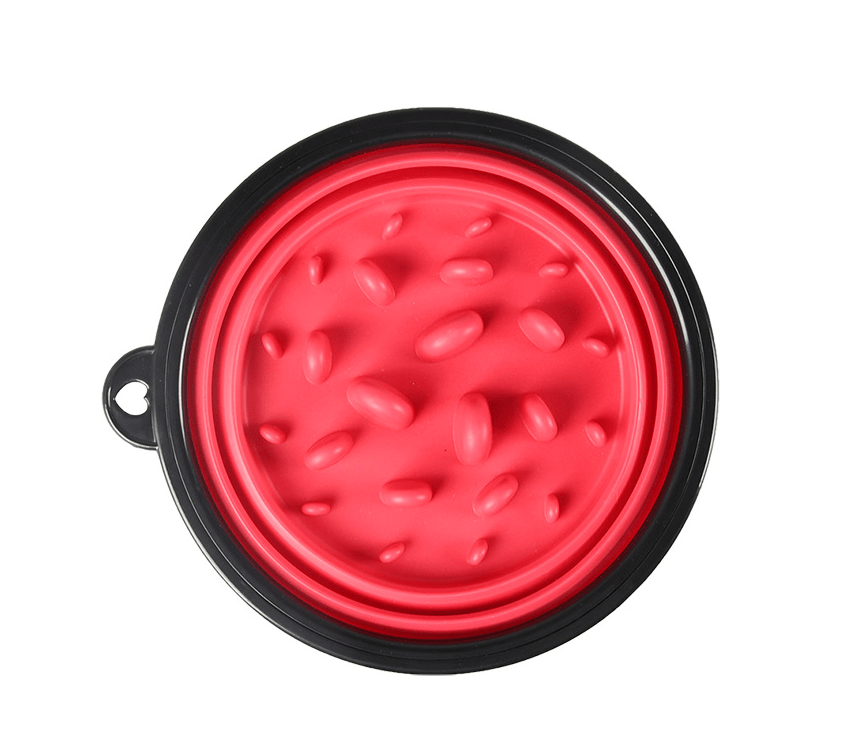 Collapsible Slow Feeder Dog Bowl