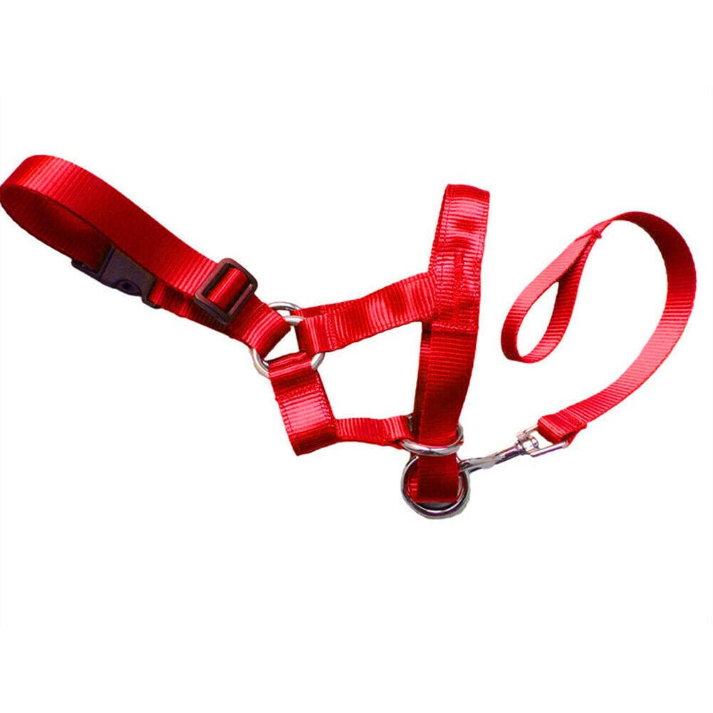 Handheld Leash Dog Muzzle