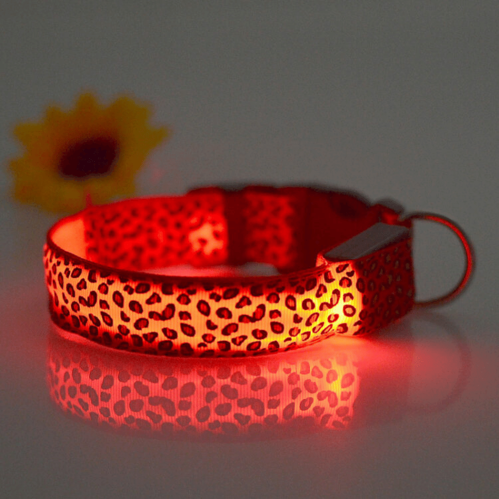 USB Rechargeable LED Flashing Nylon Dog Collar