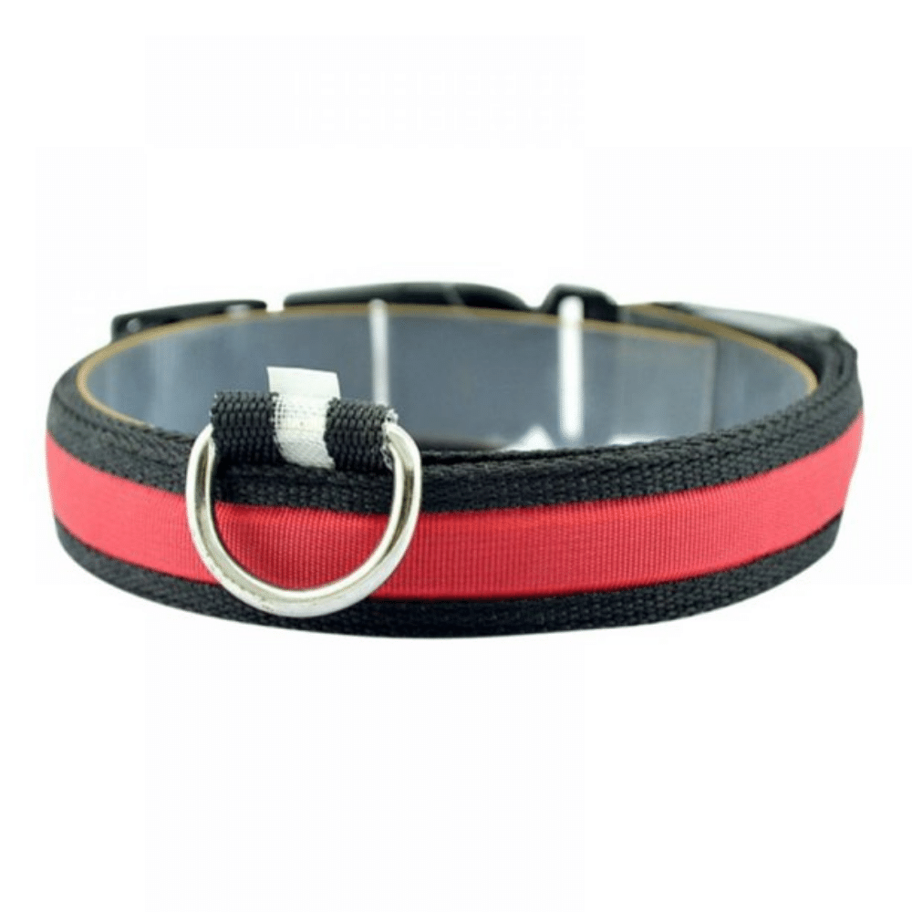 USB Rechargeable LED Flashing Nylon Dog Collar