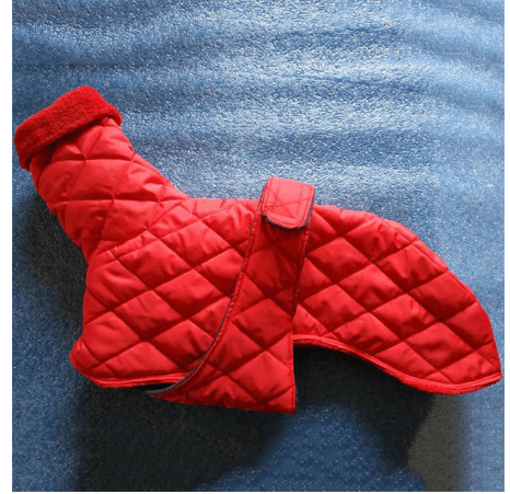 Dog winter warm cotton pure color belt fashion