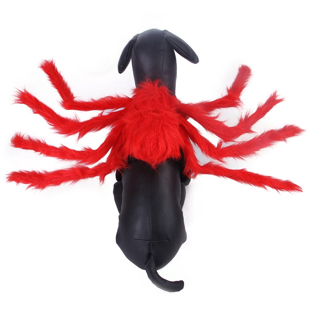Spider Dog Costume