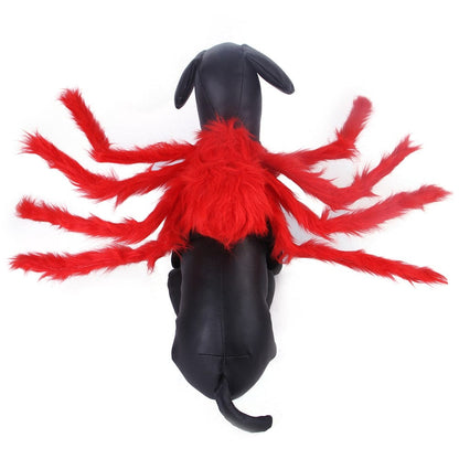 Spider Dog Costume