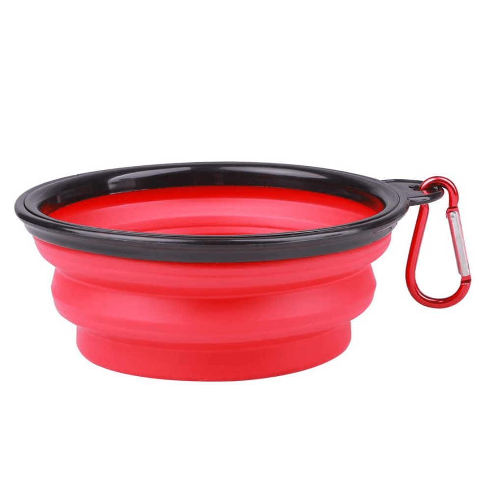 Silicone Collapsible Dog Bowl