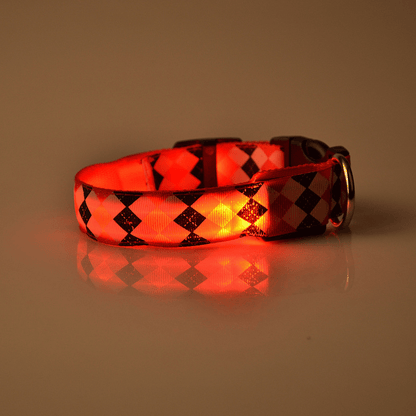 USB Rechargeable LED Flashing Nylon Dog Collar