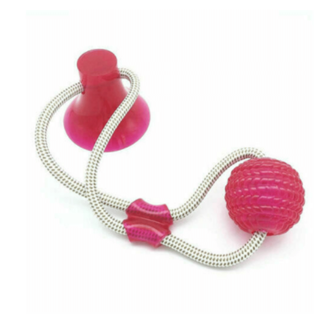 Suction Cup Rope Ball Tug toy