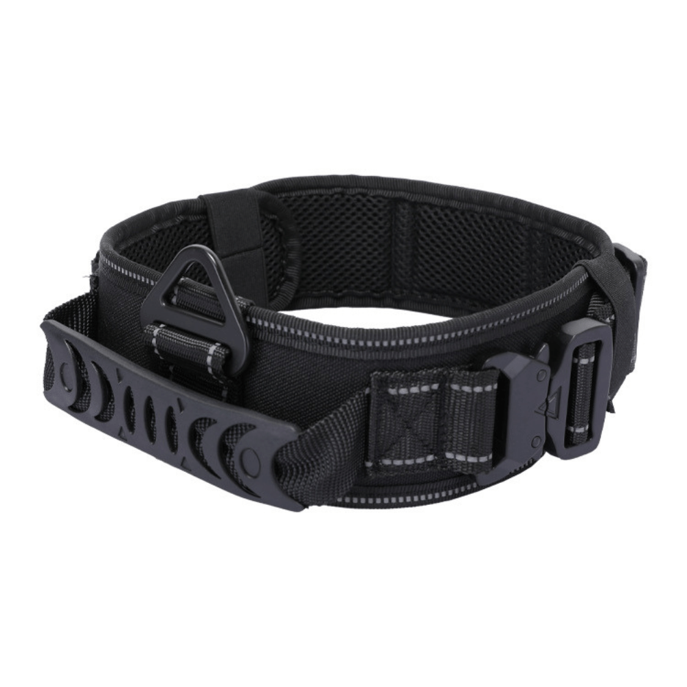 Quick Release Metal Buckle Outdoor Dog Walking Collar