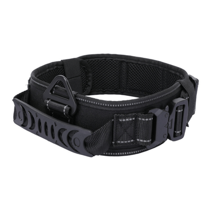 Quick Release Metal Buckle Outdoor Dog Walking Collar