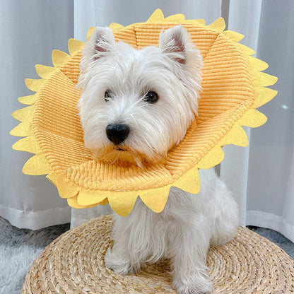 Cat Neck Ornaments Small Dogs Medium-sized Anti-licking Headgear Soft Shame Circle