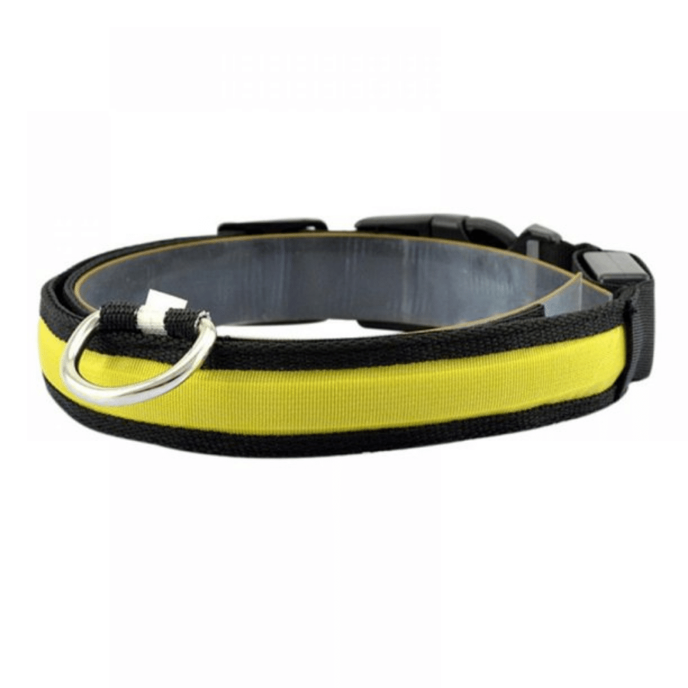 USB Rechargeable LED Flashing Nylon Dog Collar