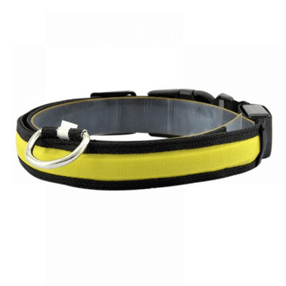 USB Rechargeable LED Flashing Nylon Dog Collar