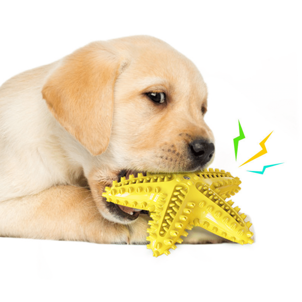 Starfish Toothbrush Dog Chew Toy