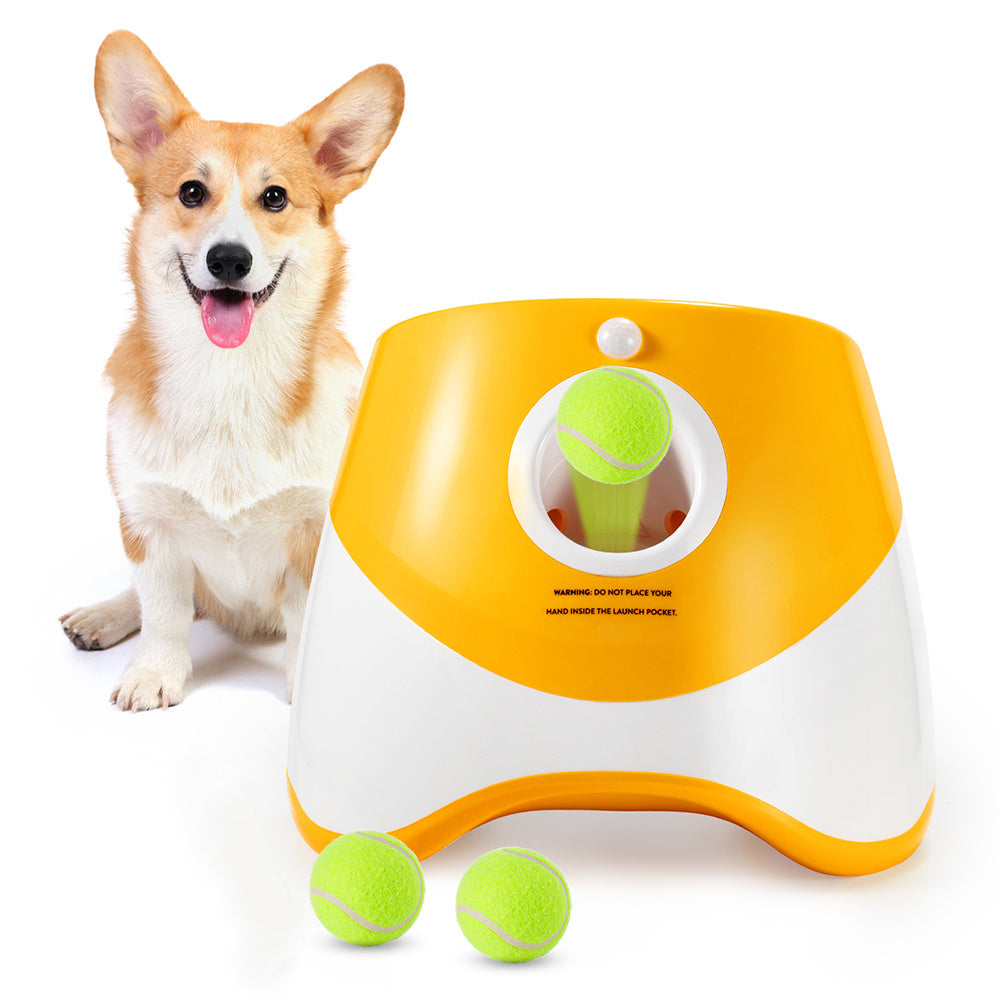 Automatic Throwing Machine  Pet Outdoor Toy Ball