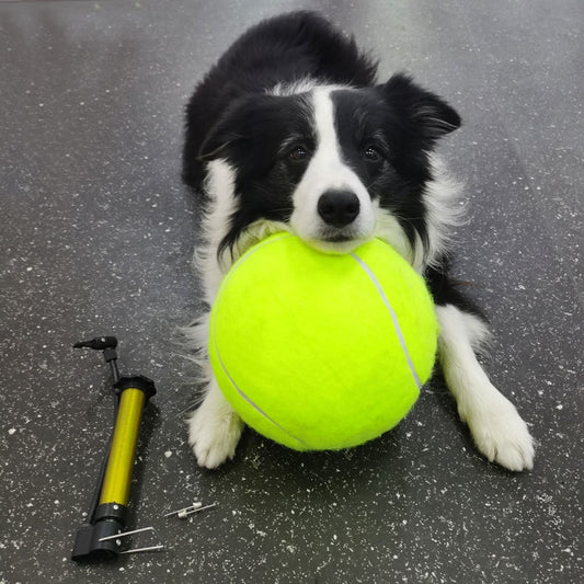 Tennis Pet Toy Inflatable Training Rubber Big Ball