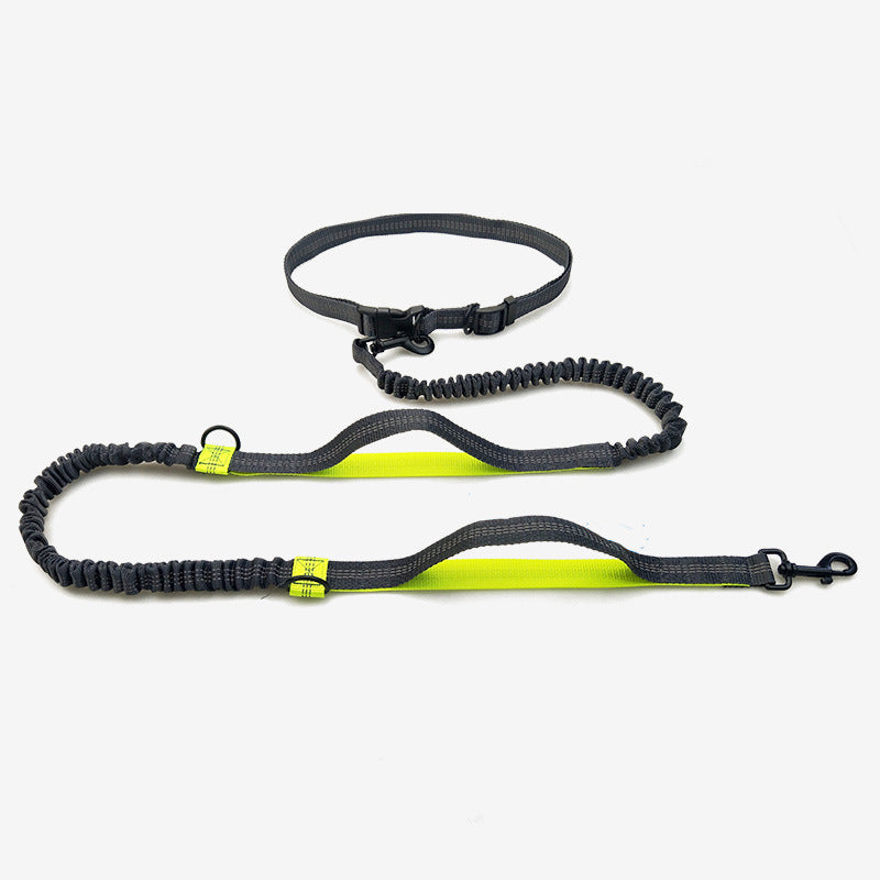 Multifunctional Running Reflective Double Telescopic Dog Leash