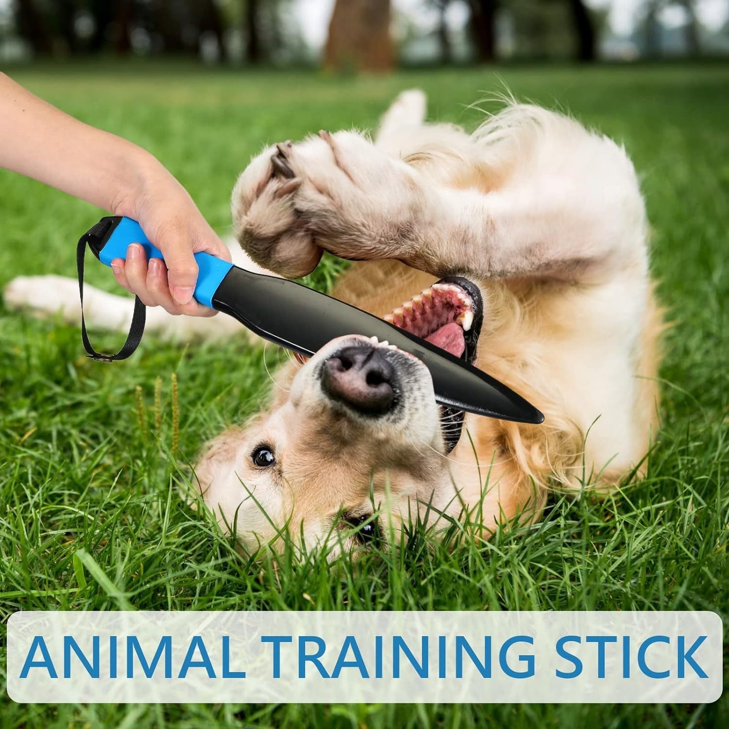 Dog Break Stick Dog No Bite Sticks Dog Bite Training Stick