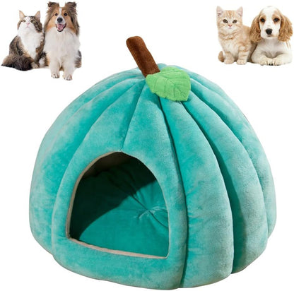 New Pumpkin Cat Bed Cat Beds For Indoor Cats Cute Pumpkin